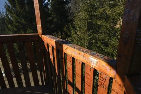 Tree house. Stock Photos