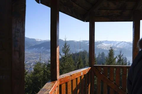 Tree house. Stock Photos