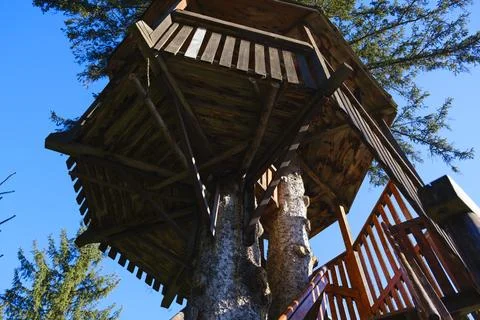 Tree house. Stock Photos