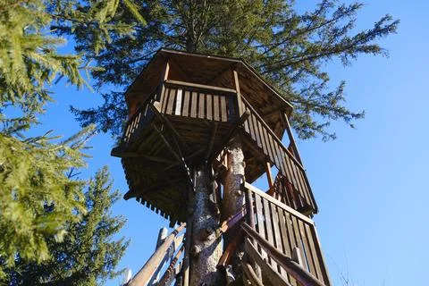 Tree house. Stock Photos