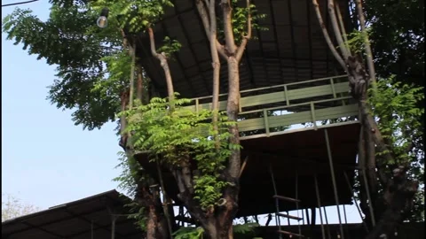 Tree house with rope ladder in the middle of a natural park Stock Footage 339335350