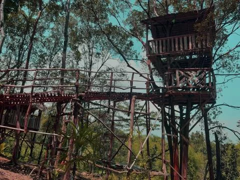 Tree house side view Stockfoto's