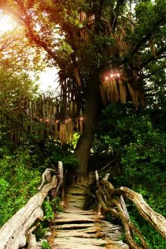 Tree house at sunset full of small fairy lights. Stock Photos