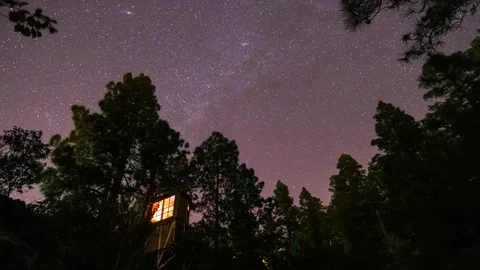 Tree house under the night sky with stars and cloud in the wild nature Stock Footage 101053967