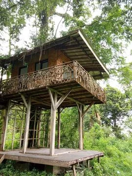 The tree house is uninhabited Stock Photos