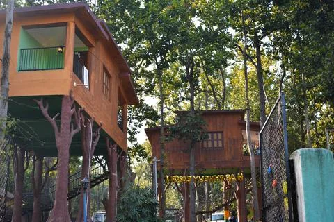 Tree houses between a deep forest with green surroundings Stock Photos
