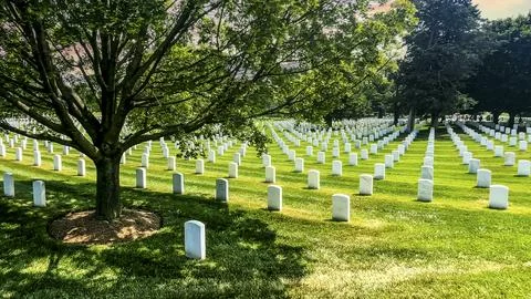 Tree with huge rows of white marble tombstones at Arlington National Military Stock Photos