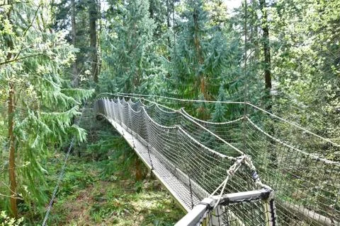 Tree hugger systems. Stock Photos