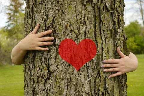 Tree Hugging Environmentalist Stock Photos
