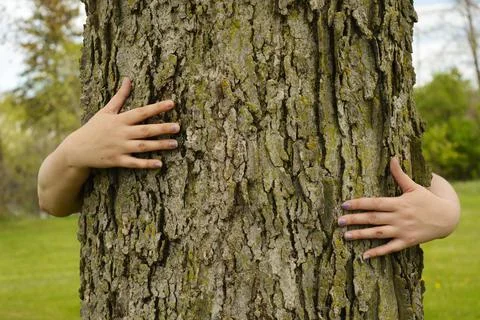 Tree Hugging Environmentalist Stock Photos