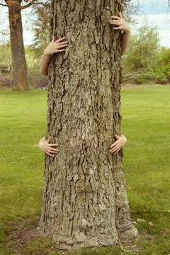 Tree Hugging Environmentalists Foto stock