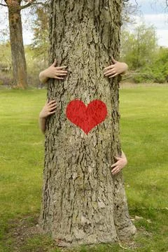 Tree Hugging Environmentalists Stock Photos