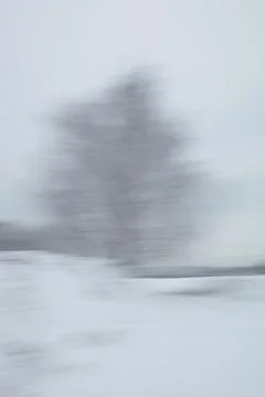 Tree ICM. Stock Photos