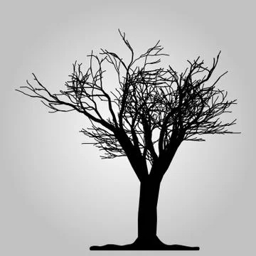 Tree icon. Forest symbol. Flat web sign on white background. Vector eps 10 Stock Illustration