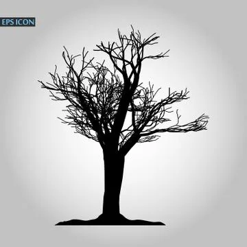 Tree icon. Forest symbol. Flat web sign on white background. Vector eps10 Stock Illustration