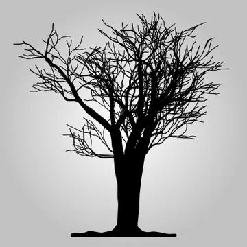 Tree icon. Forest symbol. Flat web sign on white background. Vector eps 10 Stock Illustration