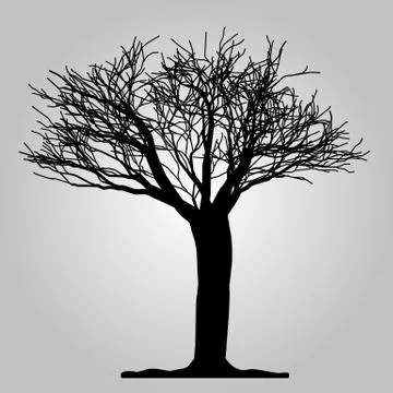 Tree icon. Forest symbol. Flat web sign on white background. Vector eps10 Stock Illustration