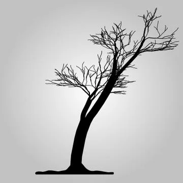 Tree icon. Forest symbol. Flat web sign on white background. Vector eps10 Stock Illustration