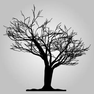 Tree icon. Forest symbol. Flat web sign on white background. Vector eps10 Stock Illustration