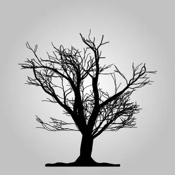 Tree icon. Forest symbol. Flat web sign on white background. Vector eps10 Stock Illustration