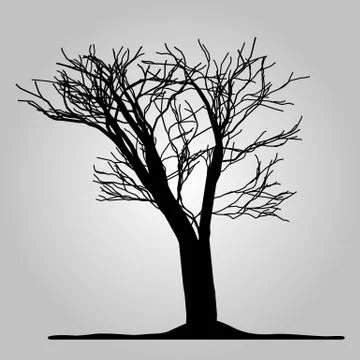 Tree icon. Forest symbol. Flat web sign on white background. Vector eps10 Stock Illustration