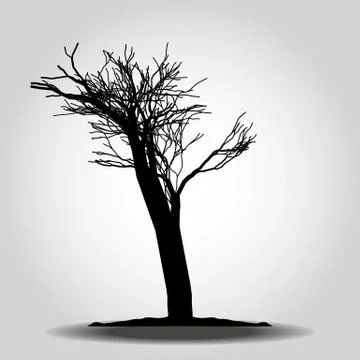 Tree icon. Forest symbol. Flat web sign on white background. Vector eps 10 Stock Illustration