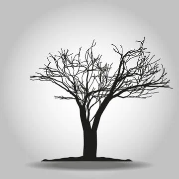 Tree icon. Forest symbol. Flat web sign on white background. Vector eps 10 Stock Illustration