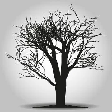 Tree icon. Forest symbol. Flat web sign on white background. Vector eps 10 Stock Illustration