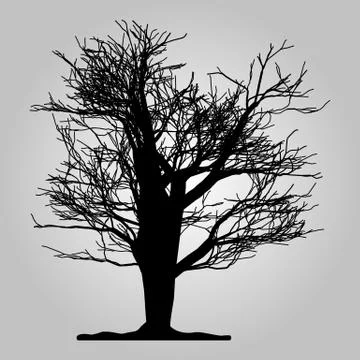 Tree icon. Forest symbol. Flat web sign on gray background. Vector eps 10 Stock Illustration