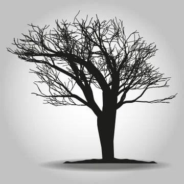 Tree icon. Forest symbol. Flat web sign on white background. Vector eps 10 Stock Illustration