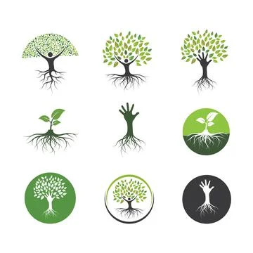 Tree icon logo template vector Illustrazione stock