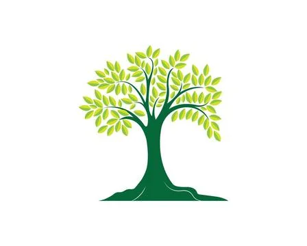 Tree icon logo template vector Tree icon logo template vector illustration... Stock Photos