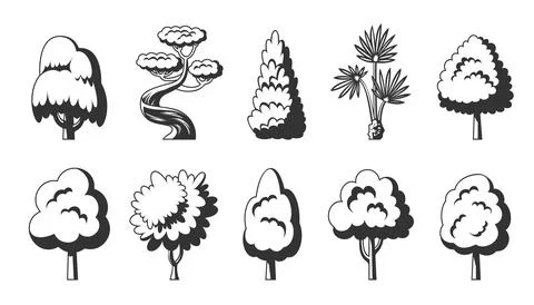 Tree icon set black forest eco plant side view Stock Illustration