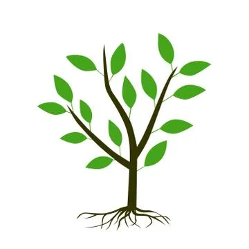 Tree icon on a white background. Vector illustration. Stock Illustration