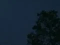 Tree illuminated by lightning during thunderstorm 4x3 Footage