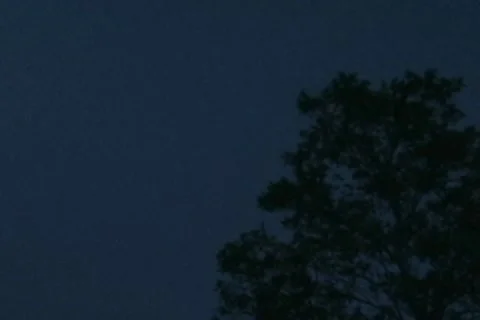 Tree illuminated by lightning during thunderstorm 4x3 Stock Footage 8765375