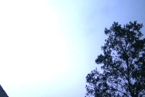 Tree illuminated by lightning during thunderstorm 16x9 Stock Footage 8765391