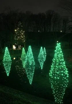 Tree Illumination Stock Photos