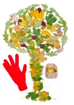 Tree Stock Illustration