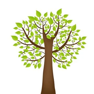 Tree Stock Illustration