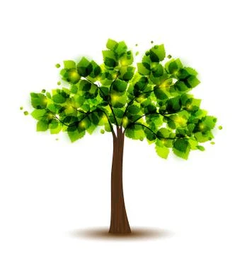 Tree Stock Illustration