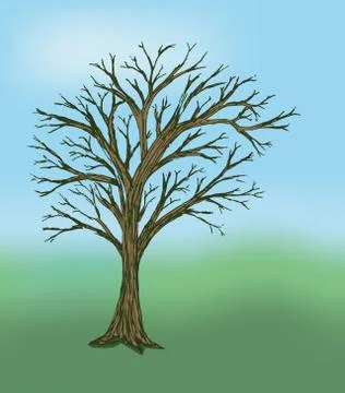 Tree Illustrazione stock