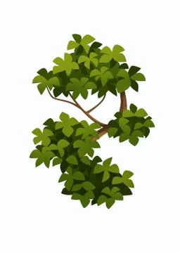 Tree Stock Illustration