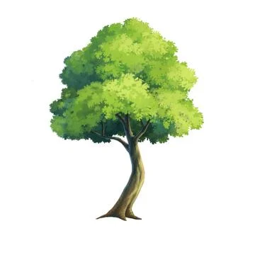 Tree Stock Illustration