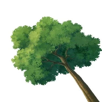 Tree Stock Illustration