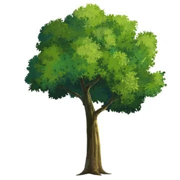 Tree Stock Illustration
