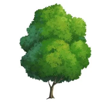Tree Stock Illustration