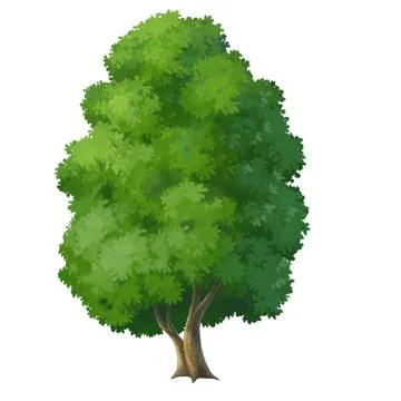 Tree Stock Illustration