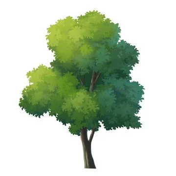 Tree Stock Illustration