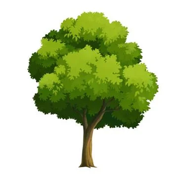 Tree Stock Illustration